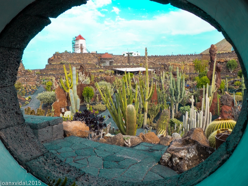 Jardin de cactus