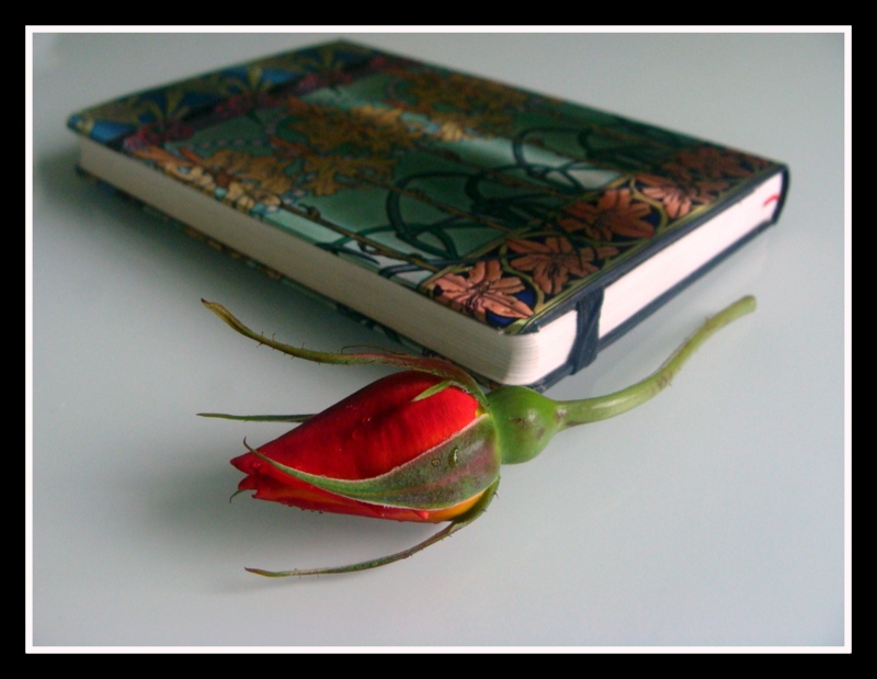 Una rosa y un libro