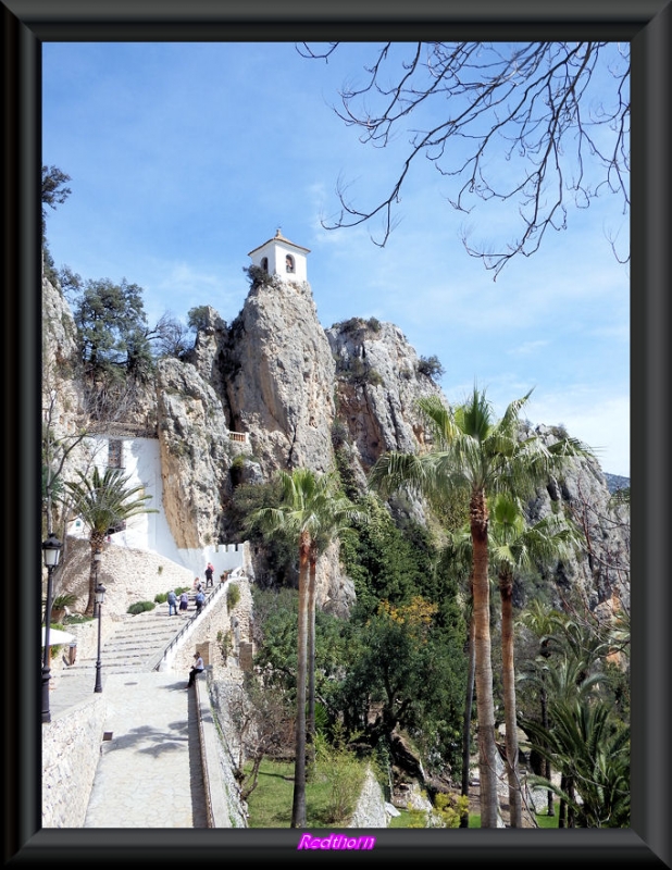 Campanario desde el palmeral