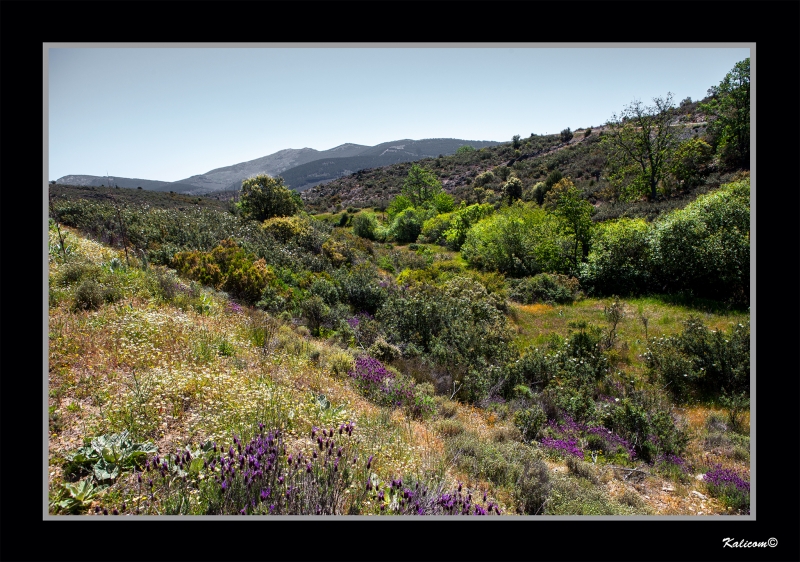 SIERRA DE AYLLON