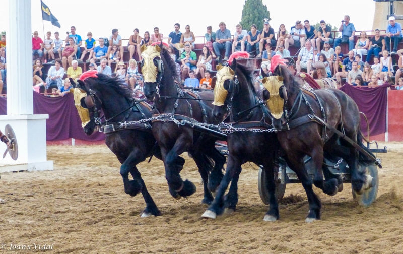 carrera de cuadrigas