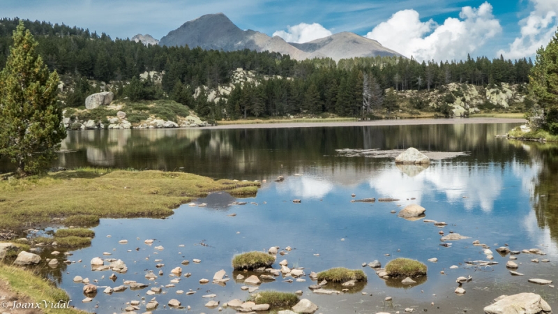 estany del Viver