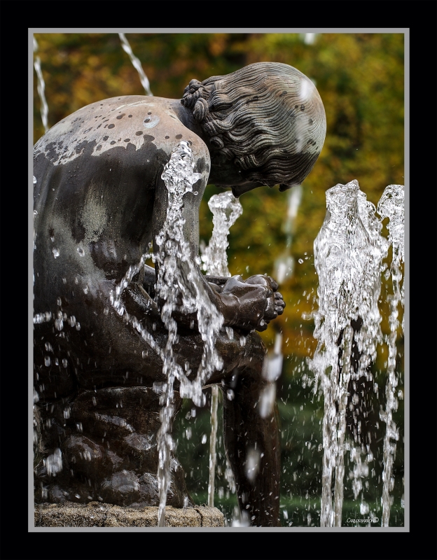 LA FUENTE DEL ESPINARIO