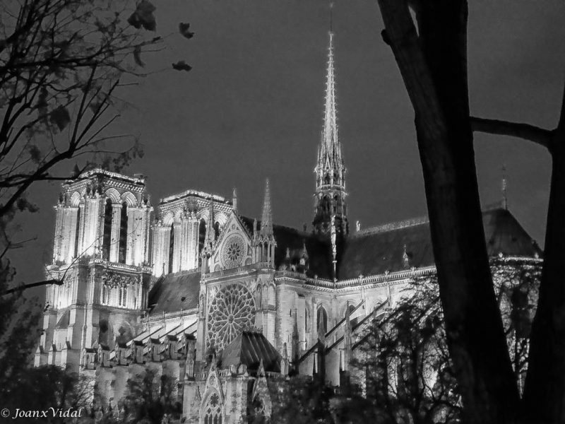 Catedral Notre Dame