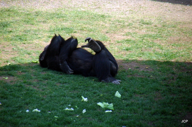 Menuda siesta