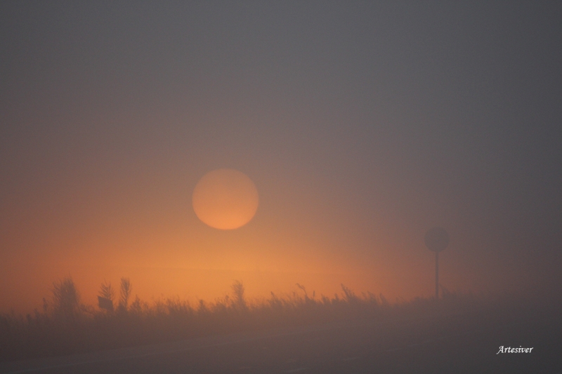 sol y niebla