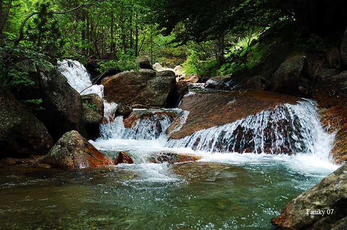 El curso del agua