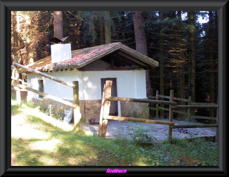 Un refugio en el bosque