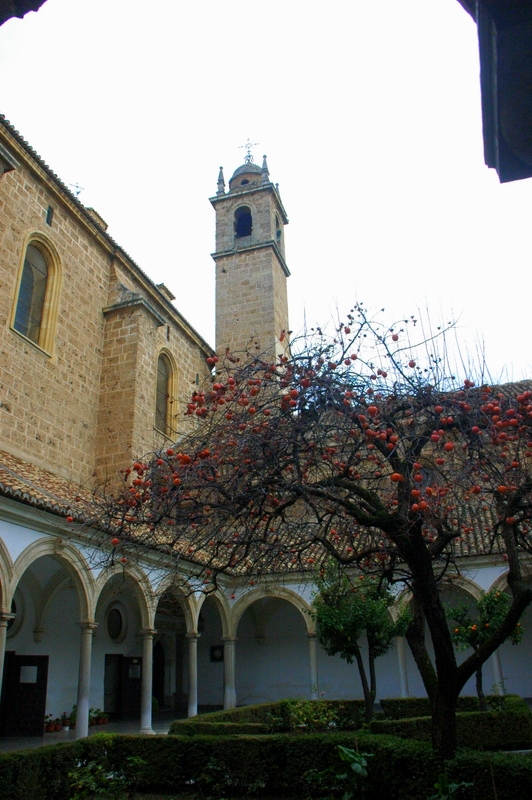 Cartuja de la Asuncion 2 Claustro