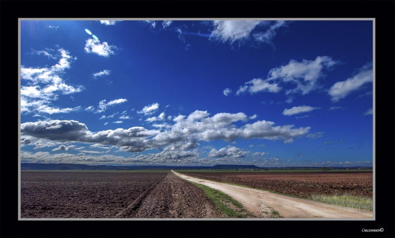 EL CAMINO DE LOS TRIGALES