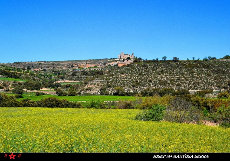 Vista de la Segarra I