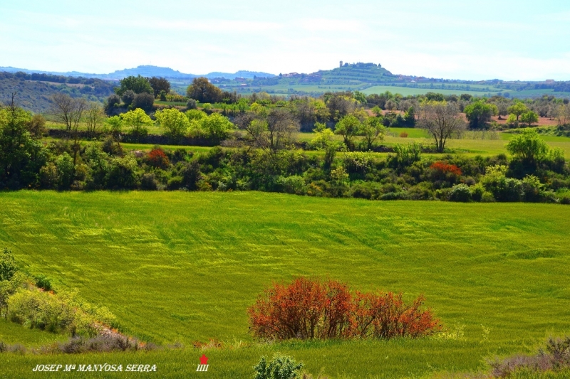 La segarra