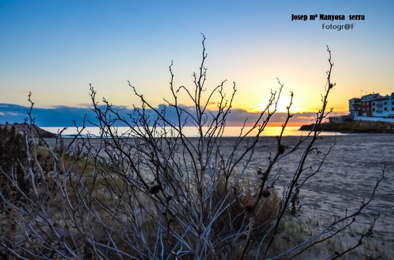 La platja estava deserta