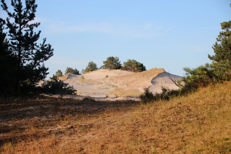 Dunas mar baltico