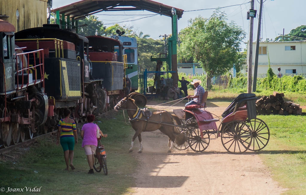 TODOS AL TREN