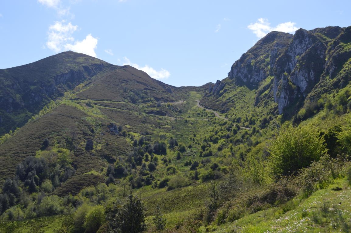 PN Picos de Europa: Lagos de Covadonga