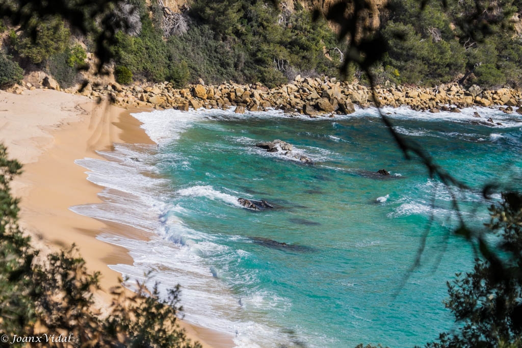 PLATJA DE TREUMAL