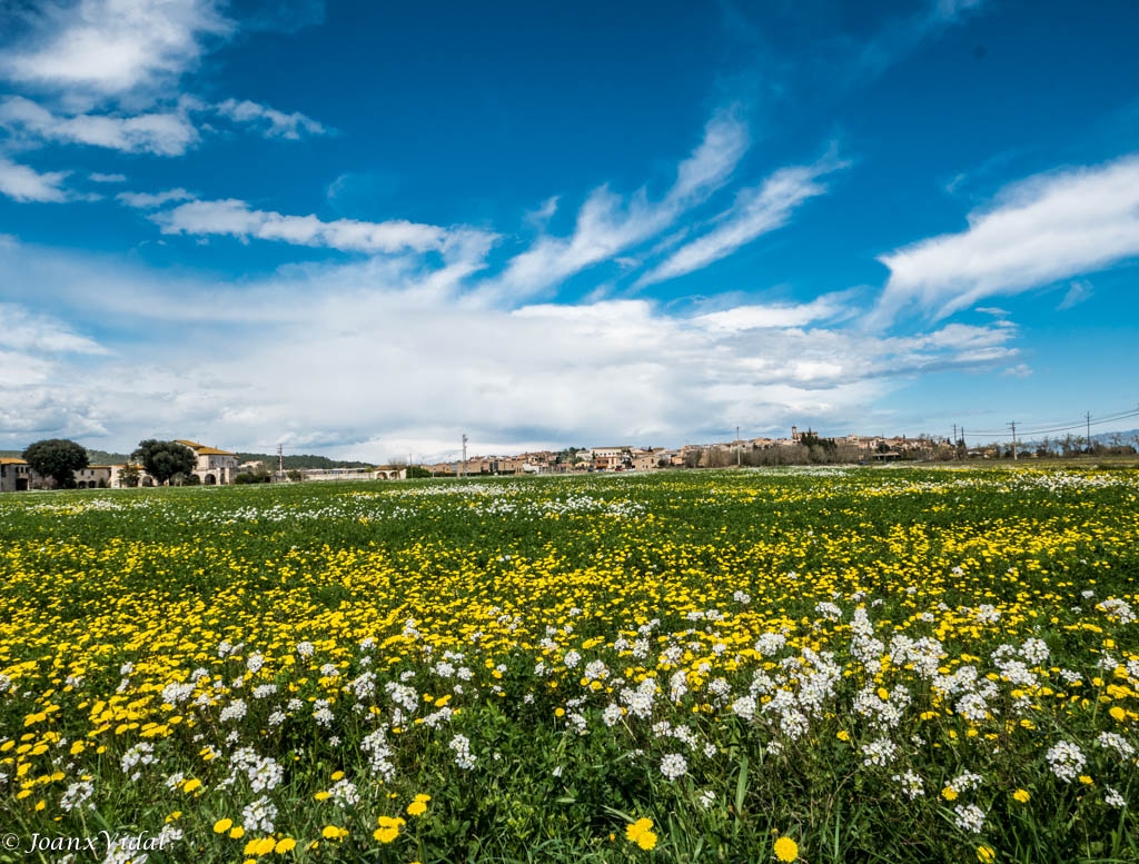 ELS COLORS DE LA PRIMAVERA