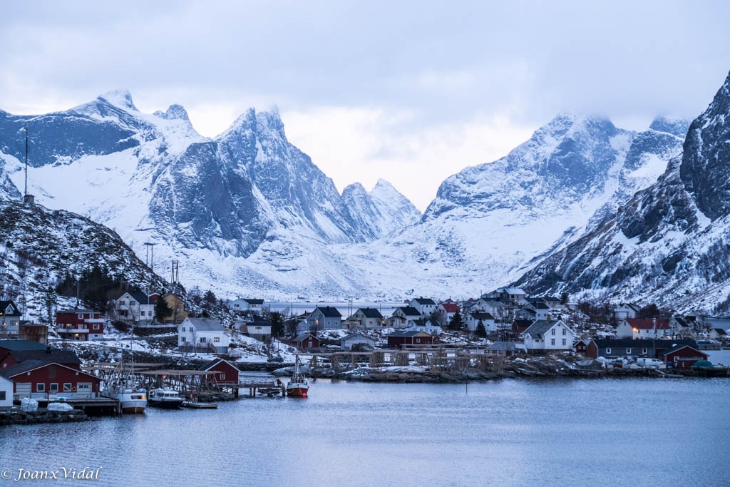 REINE