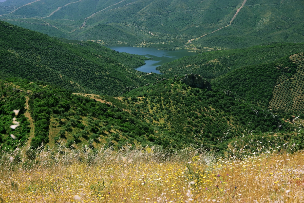 El Castillejo