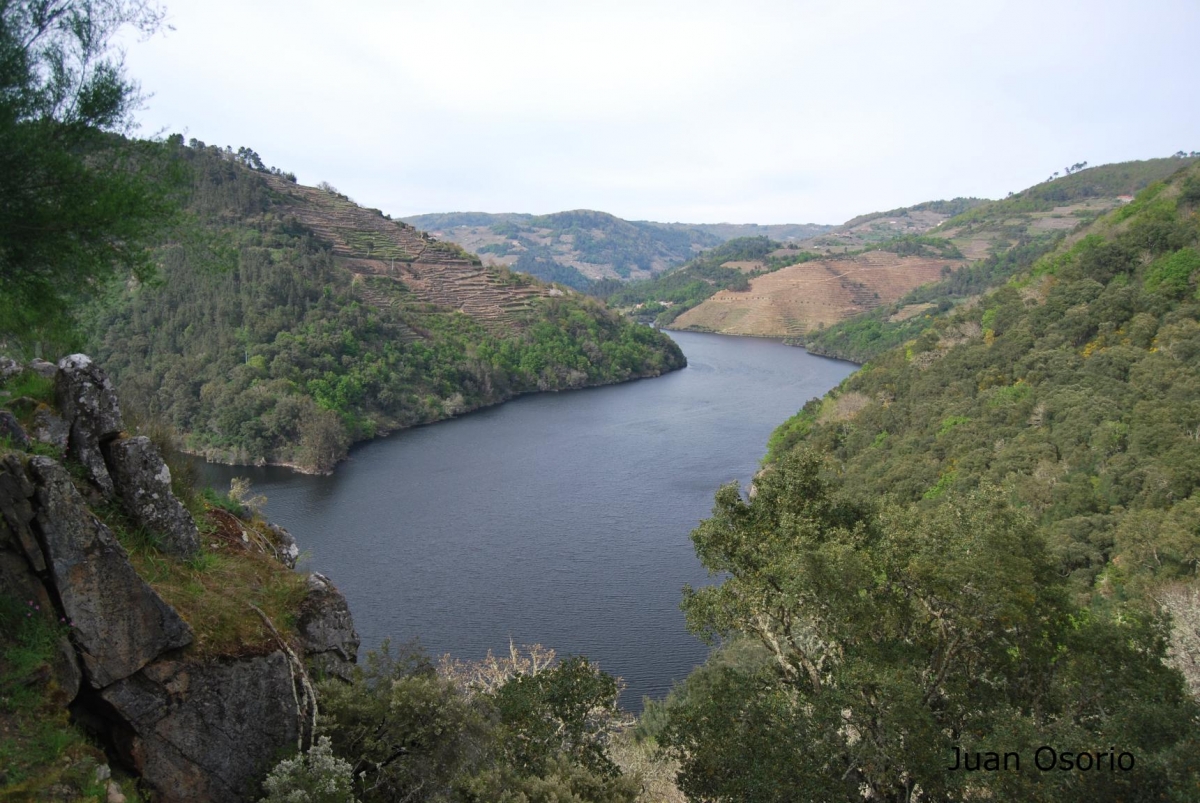 Castro de Marce