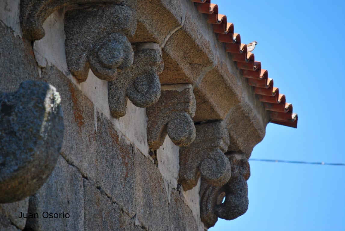 Igrexa do Burgo (Castro Caldelas): Canzorros