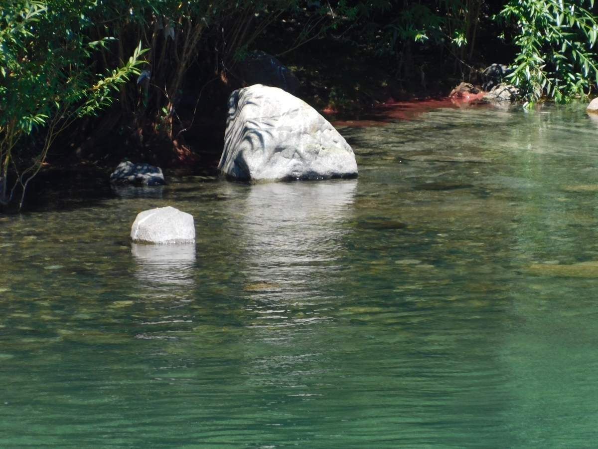 El agua es super cristalina