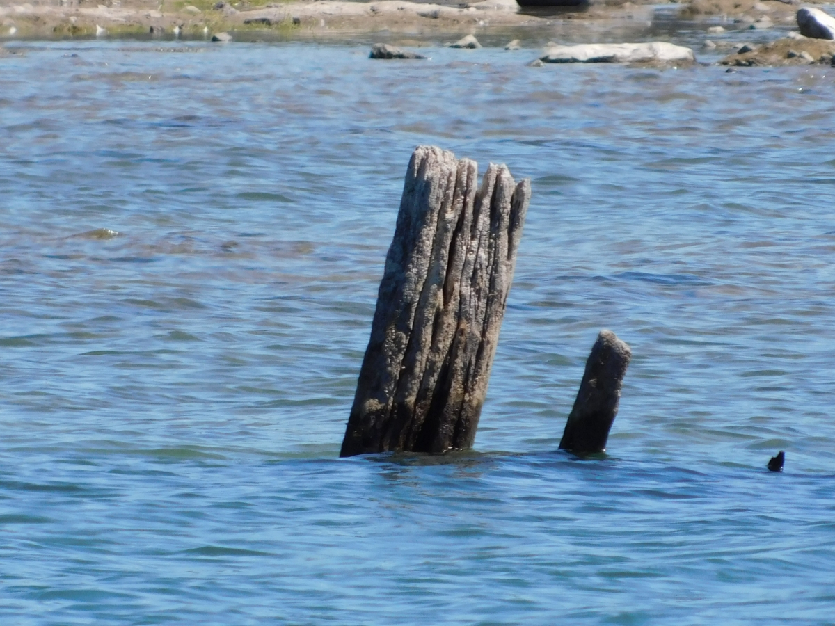 Restos de un muelle