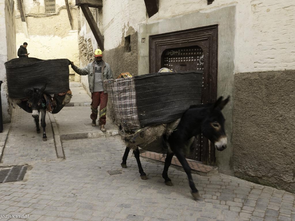 CAMINO DE LA MEDINA