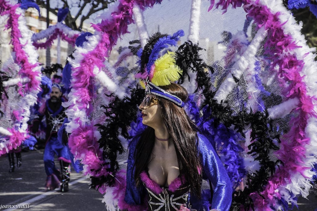 POSTALS DE CARNAVAL