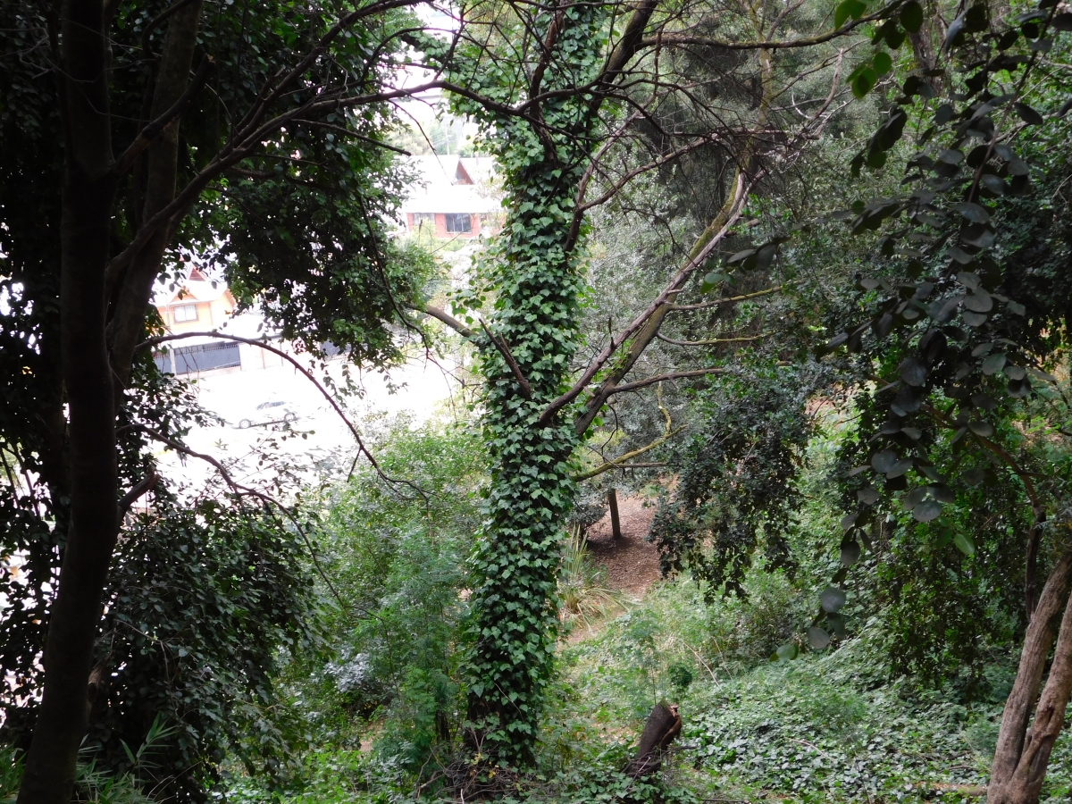 Me encanta la naturaleza, oxigena el alma y te relaja