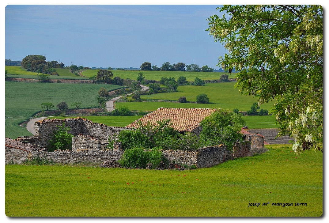 La Segarra I (Lleida)