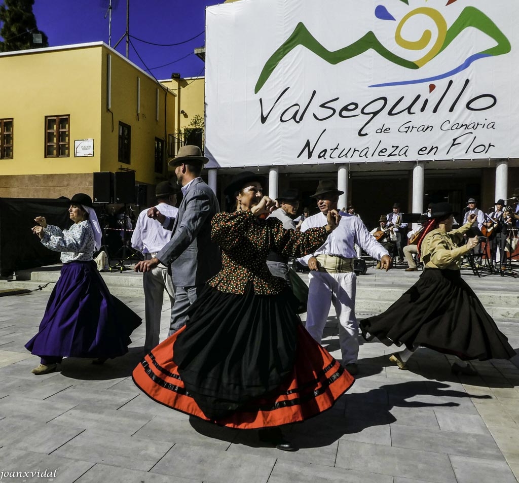 DANZAS TRADICIONALES