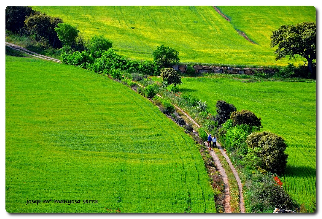 Fent cam per la Segarra