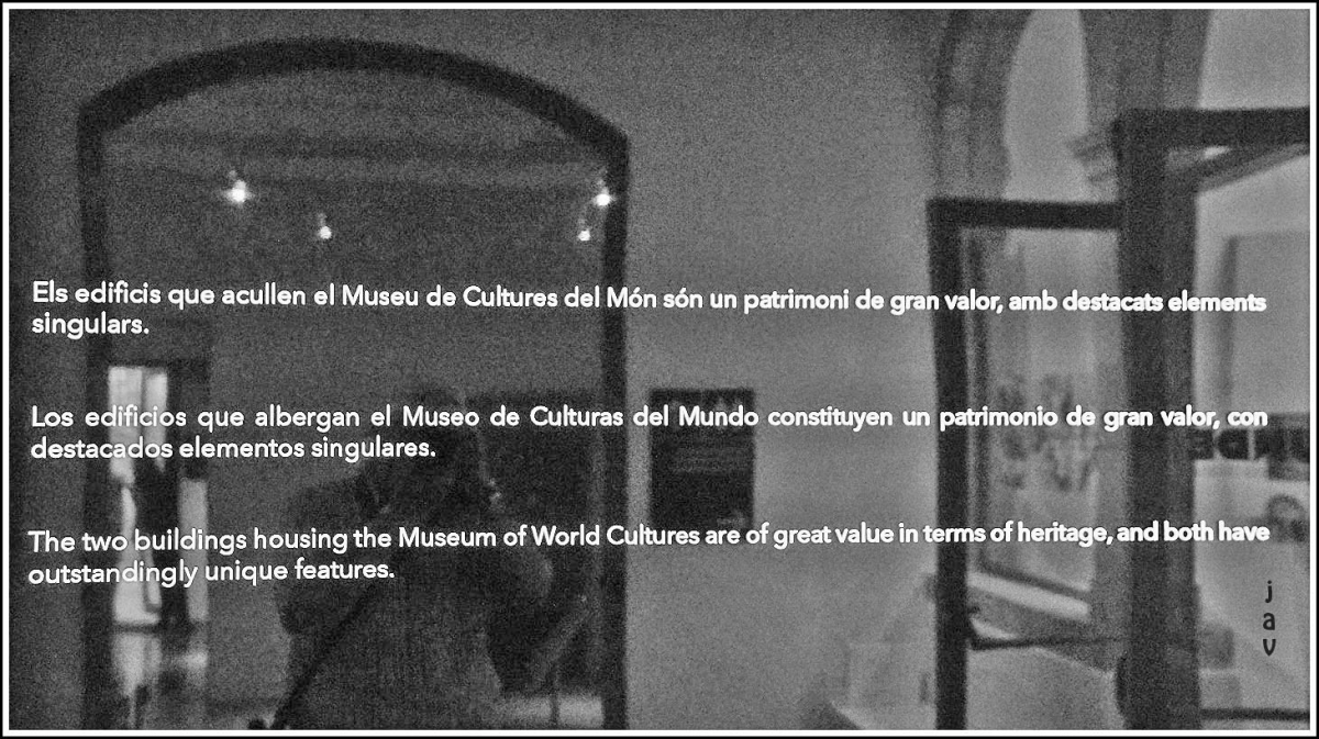 Museo de las culturas del mundo. 1