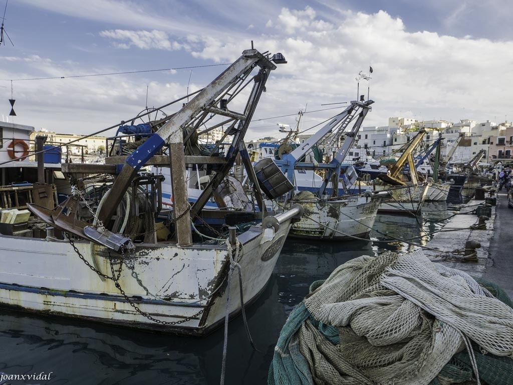 BARCOS DE PESCA