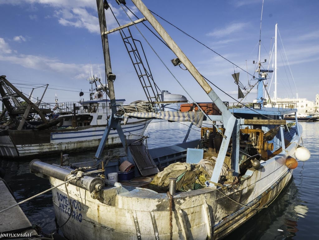 BARCOS DE PESCA