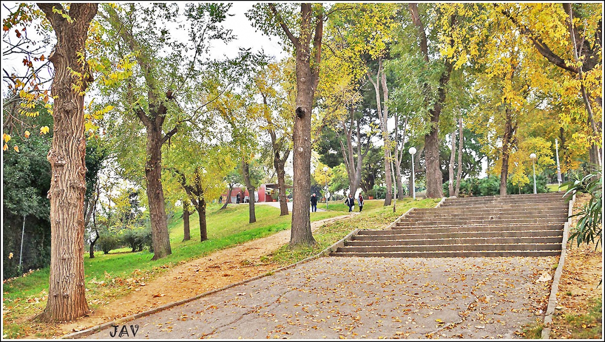 Parc de Montjuc. 75