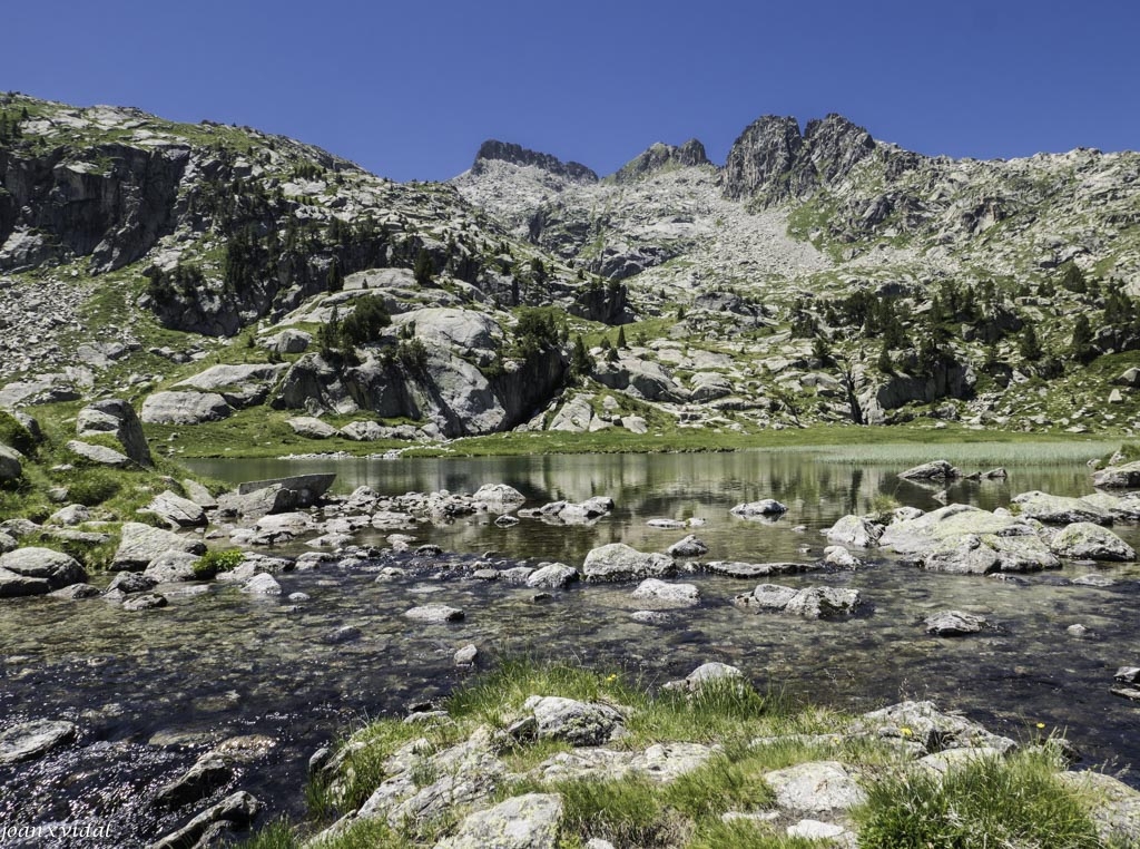 ESTANYS DE COLOMERS