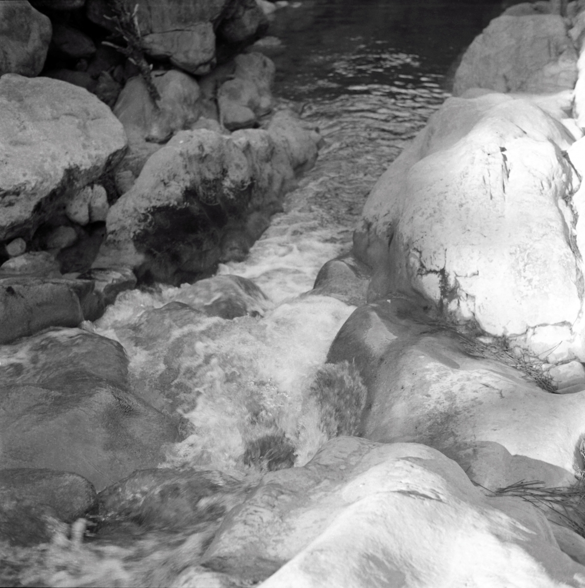 Aguas de Cazorla (I)