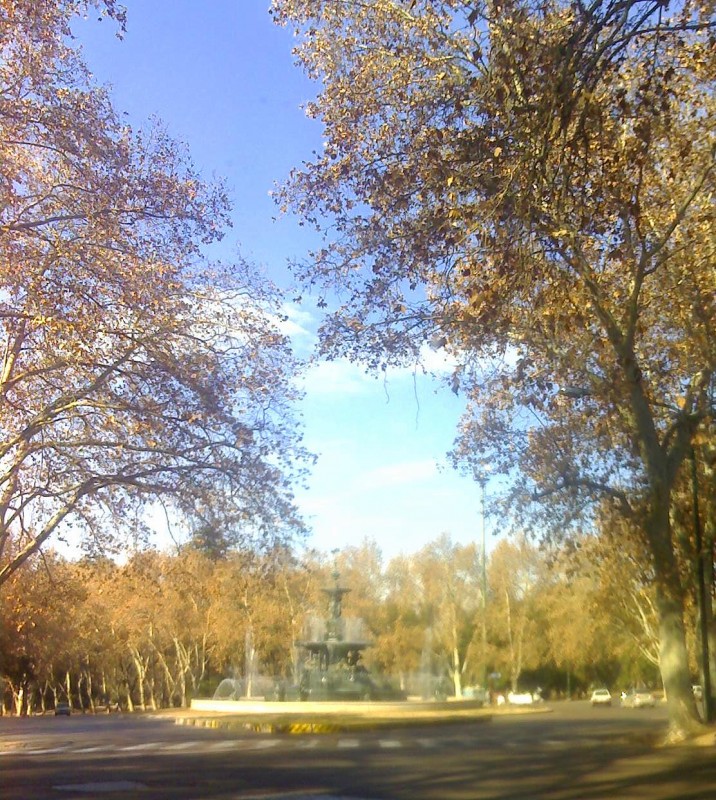 En el parque San Martin