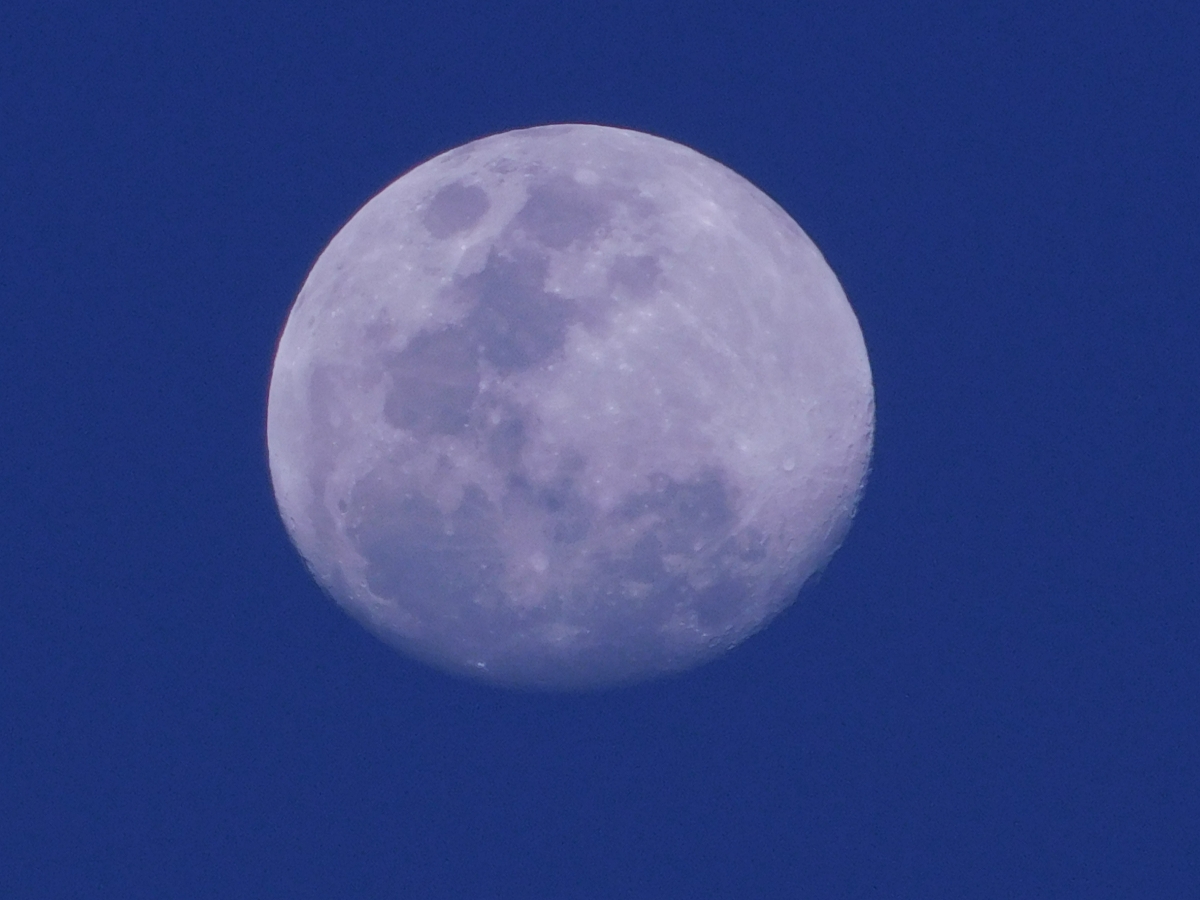 La luna vista en un da de campo