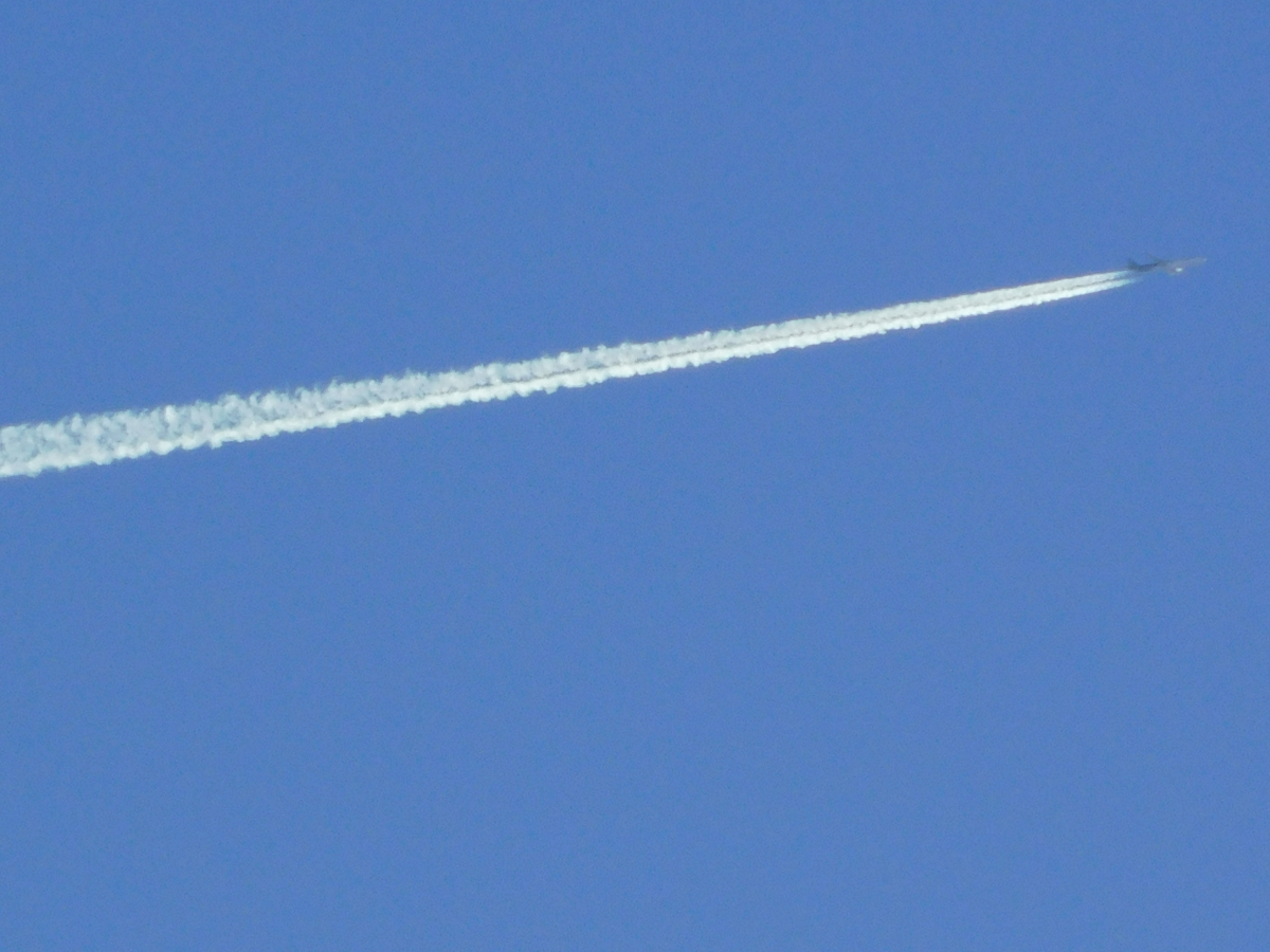 Estos son infaltables cuando miras al cielo y cmo contaminan, pero as son los adelantos, las personas no se consideran