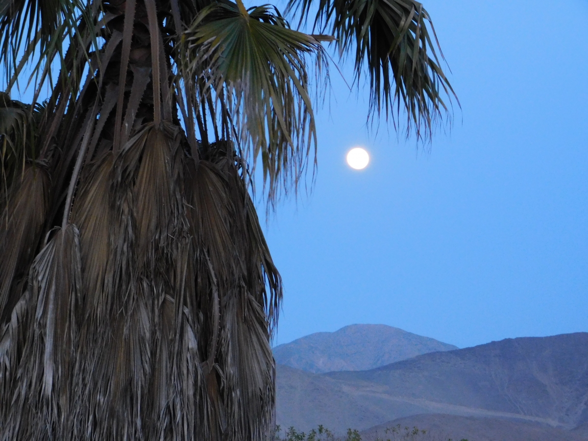 Un paisaje tomado en la tarde, pasadas las 17:00hrs., acompaado de una hermosa luna que sala del cerro atrs