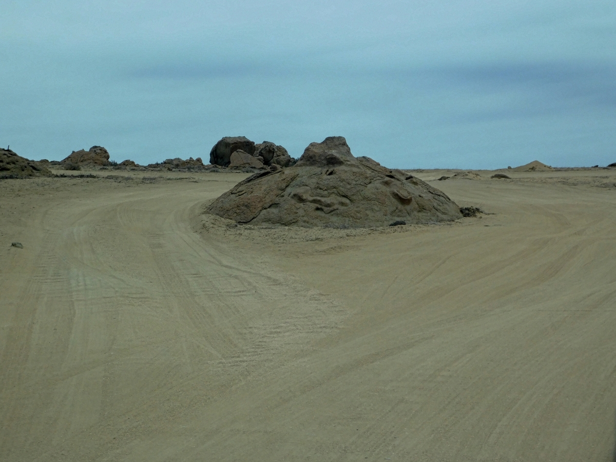 Una rotonda en el desierto