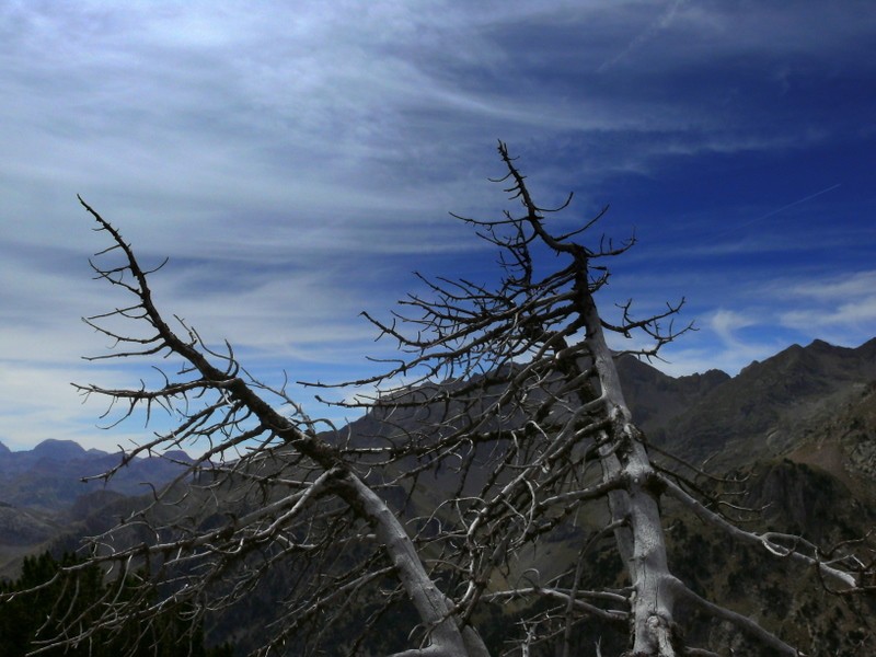 naturaleza desnuda