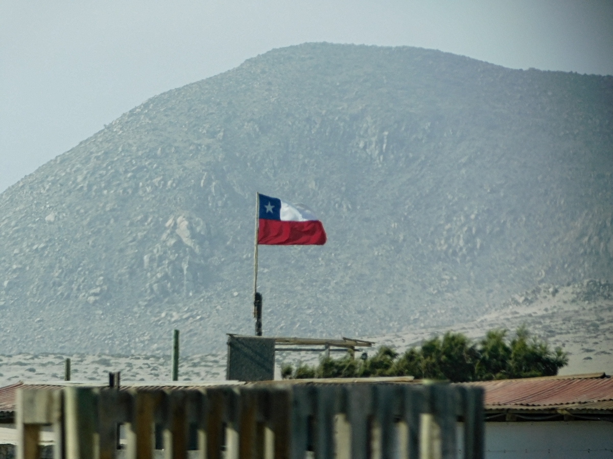 Lo importante es que ella siempre me recuerda a donde estoy, linda, hermosa, mostrando orgullosa sus colores