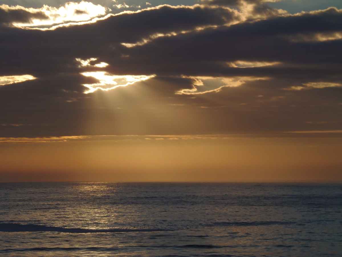 Paisaje de la playa de Flamenco