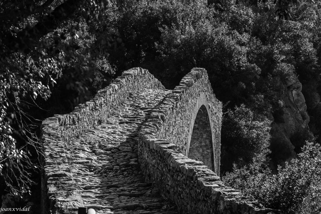 PONT DE LA LLIERCA