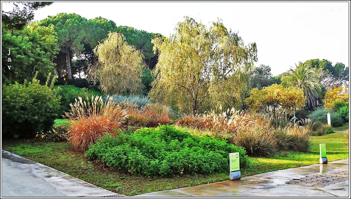 Parc de Montjuc. 86